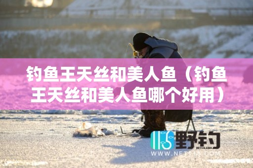 钓鱼王天丝和美人鱼（钓鱼王天丝和美人鱼哪个好用）
