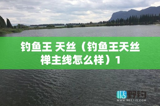 钓鱼王 天丝（钓鱼王天丝禅主线怎么样）1