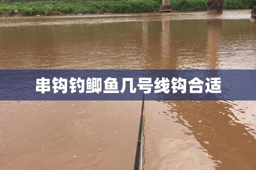 串钩钓鲫鱼几号线钩合适