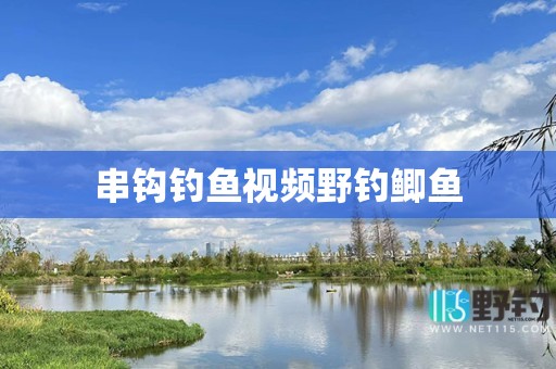 串钩钓鱼视频野钓鲫鱼
