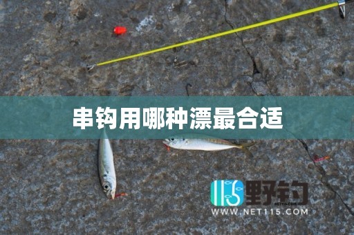 串钩用哪种漂最合适