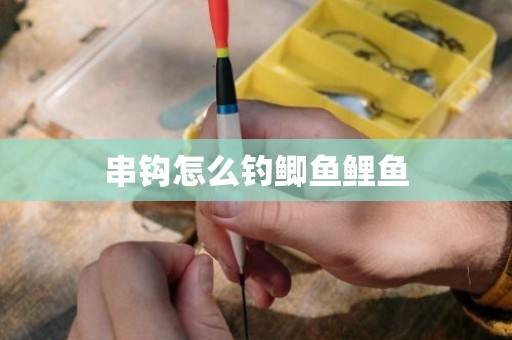 串钩怎么钓鲫鱼鲤鱼