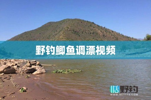 野钓鲫鱼调漂视频