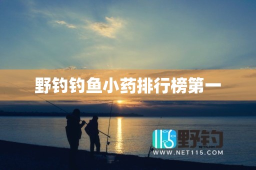 野钓钓鱼小药排行榜第一