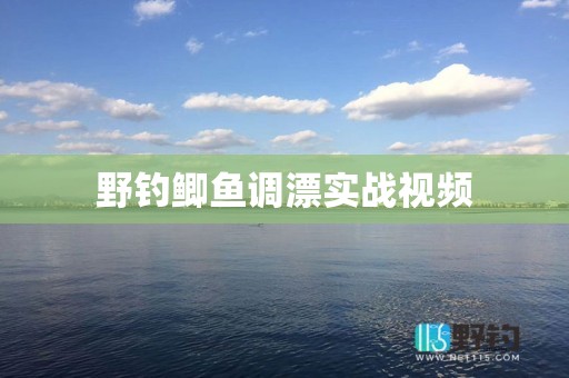 野钓鲫鱼调漂实战视频