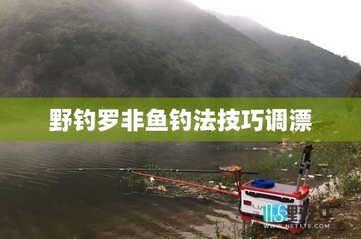 野钓罗非鱼钓法技巧调漂