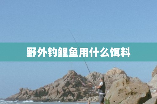 野外钓鲤鱼用什么饵料