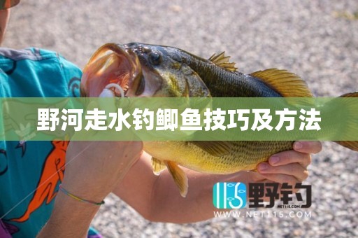 野河走水钓鲫鱼技巧及方法