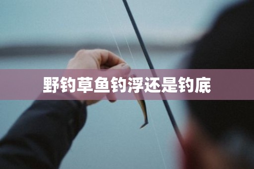 野钓草鱼钓浮还是钓底