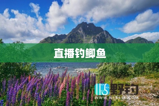 直播钓鲫鱼
