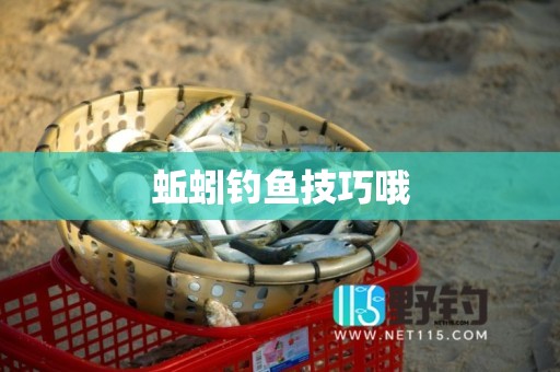 蚯蚓钓鱼技巧哦