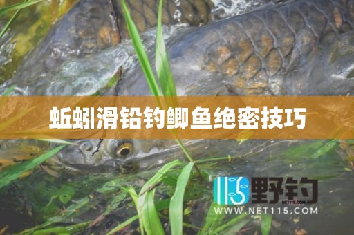 蚯蚓滑铅钓鲫鱼绝密技巧