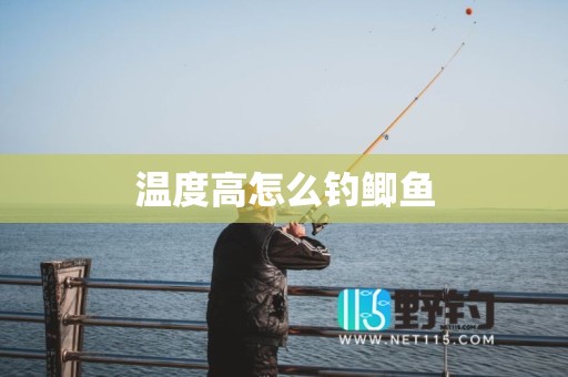 温度高怎么钓鲫鱼