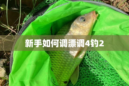 新手如何调漂调4钓2