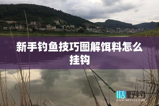 新手钓鱼技巧图解饵料怎么挂钩