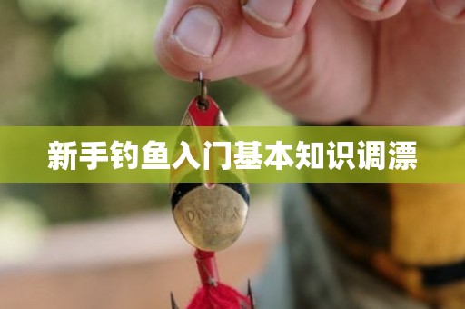 新手钓鱼入门基本知识调漂