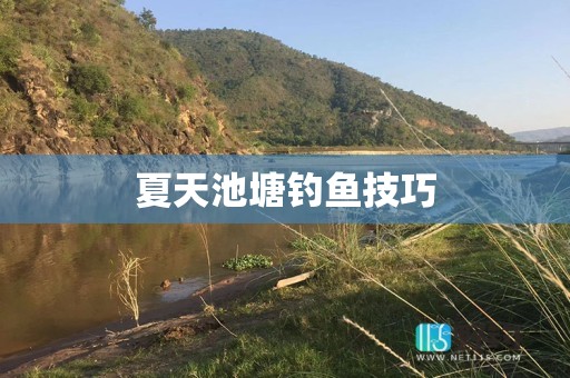夏天池塘钓鱼技巧