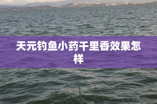 天元钓鱼小药千里香效果怎样
