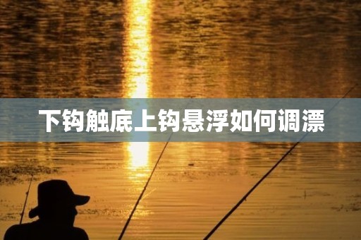 下钩触底上钩悬浮如何调漂