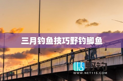 三月钓鱼技巧野钓鲫鱼