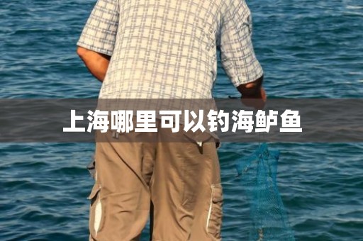 上海哪里可以钓海鲈鱼