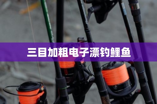 三目加粗电子漂钓鲤鱼