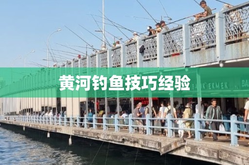 黄河钓鱼技巧经验