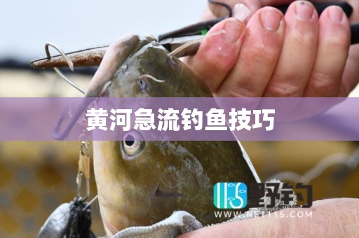 黄河急流钓鱼技巧