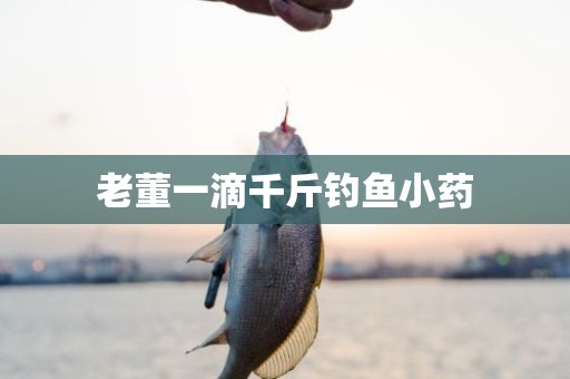 老董一滴千斤钓鱼小药