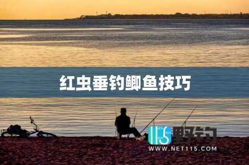 红虫垂钓鲫鱼技巧