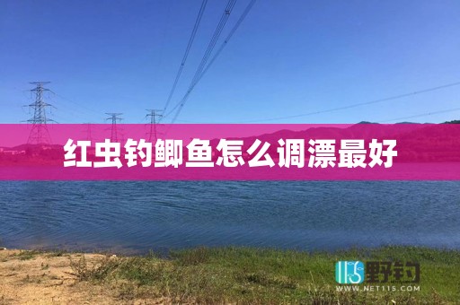 红虫钓鲫鱼怎么调漂最好