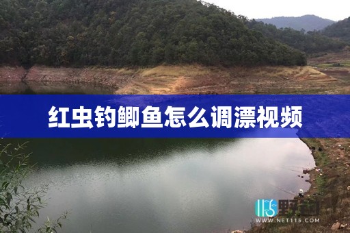 红虫钓鲫鱼怎么调漂视频