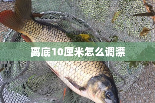 离底10厘米怎么调漂