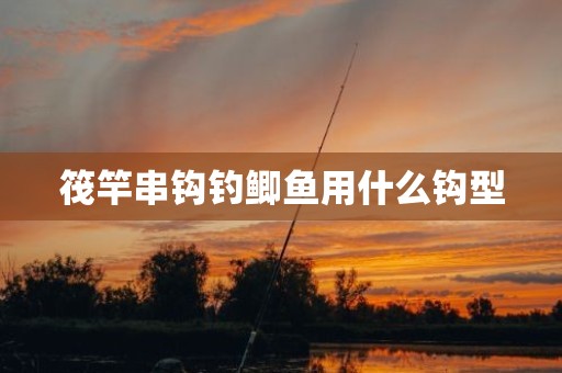 筏竿串钩钓鲫鱼用什么钩型