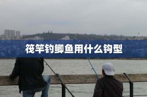 筏竿钓鲫鱼用什么钩型