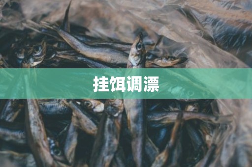 挂饵调漂