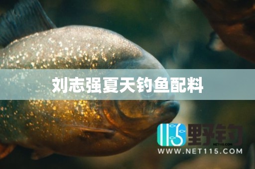 刘志强夏天钓鱼配料
