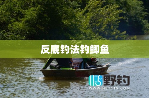 反底钓法钓鲫鱼
