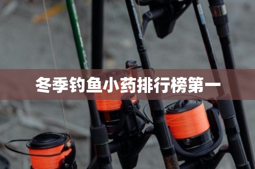 冬季钓鱼小药排行榜第一