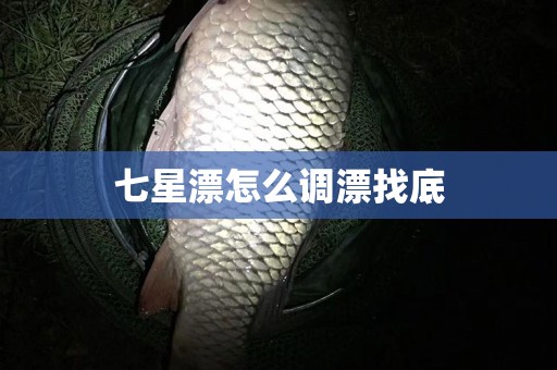 七星漂怎么调漂找底