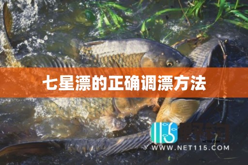 七星漂的正确调漂方法