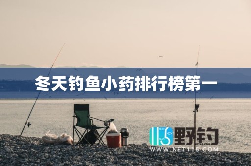 冬天钓鱼小药排行榜第一