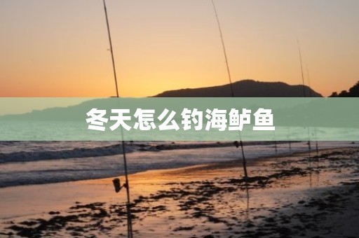 冬天怎么钓海鲈鱼