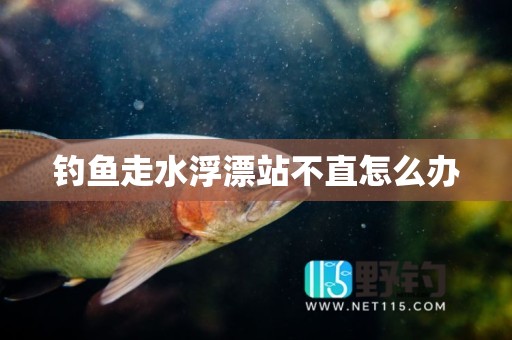 钓鱼走水浮漂站不直怎么办