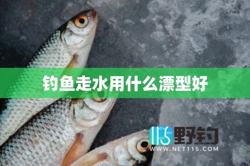钓鱼走水用什么漂型好