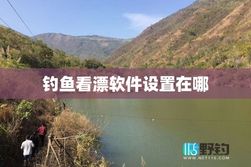 钓鱼看漂软件设置在哪