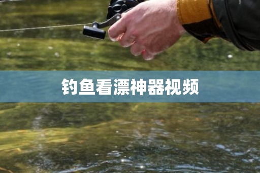 钓鱼看漂神器视频