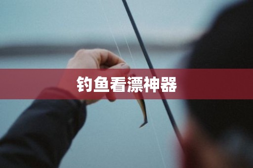 钓鱼看漂神器