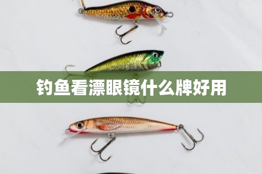 钓鱼看漂眼镜什么牌好用