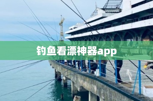 钓鱼看漂神器app